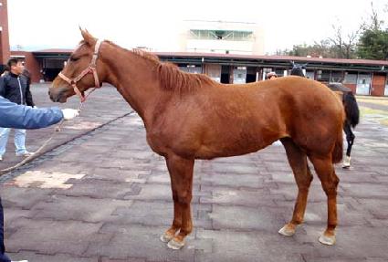 ���Ǵ��� ����