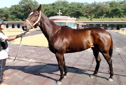 ���ְ��� ����