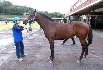 ��ڿ��� ����