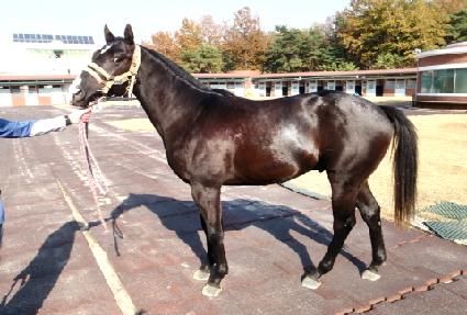 ��õ������Ʈ ����