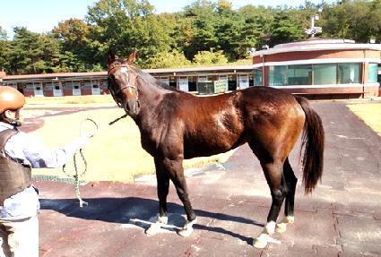 �����̽� ����