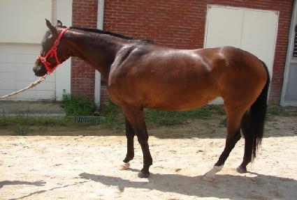 ����è�� ����