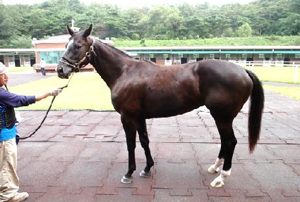 �������� ����