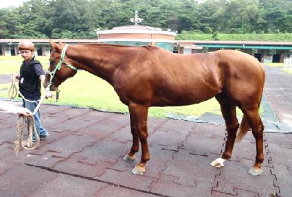 ���� ����