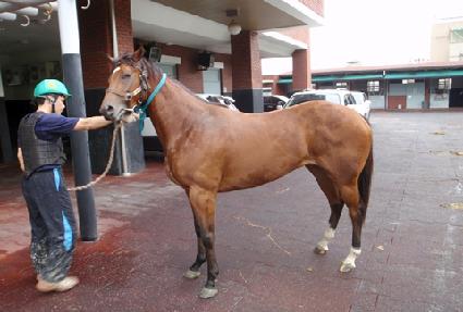 ���̹��ö�� ����