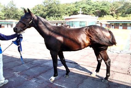 �Ƽ��� ����