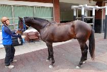 ������â (ODINUI CHANG) ����