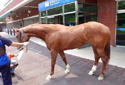 �¾��ǿ��� ����