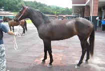 �������� (YEOSIN FORCE) ����