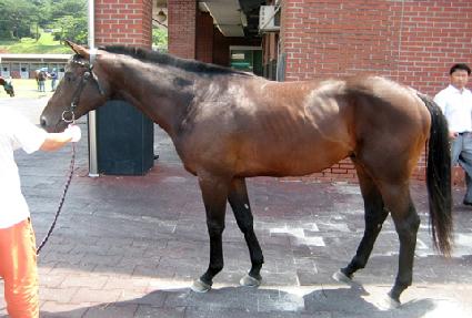 ����è�� ����