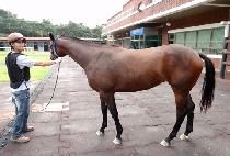 �������� (SEONGEUN YEOJE) ����