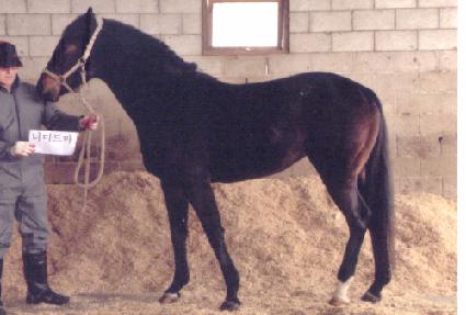 �ʹ̵帶 ����