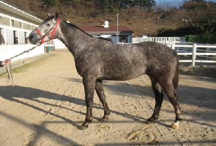 ���Ǵ�Ƽ�ε� ����