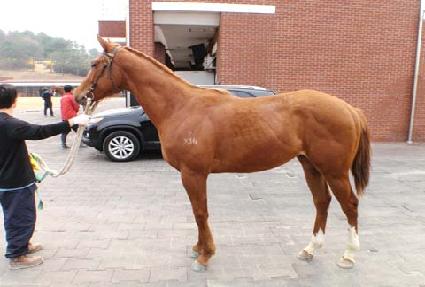 ������� ����