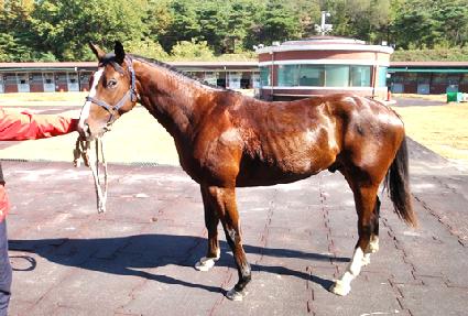 �����Ǻ� ����