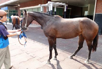 ���̴װ��� ����