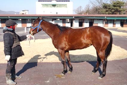 õ�߱��� ����