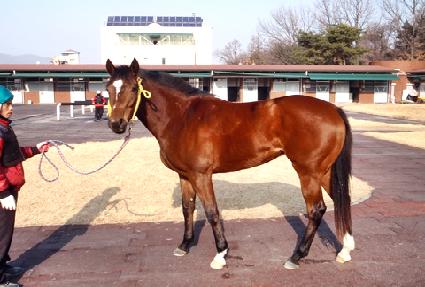 �̶�Ŭ��Ƽ ����