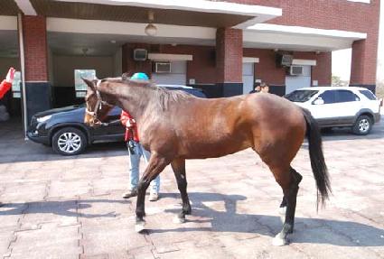 Ǯ������ ����