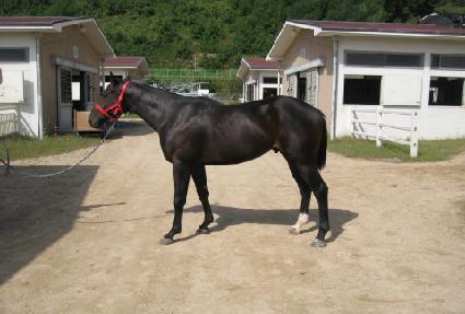 �ް�����Ʈ ����