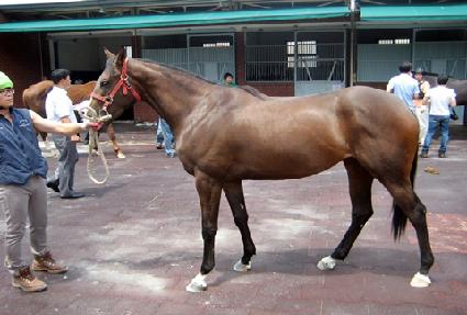 �ٸ��� ����