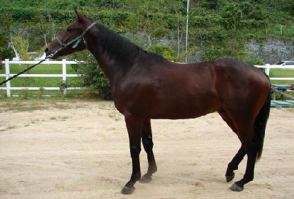 �ο��� ����