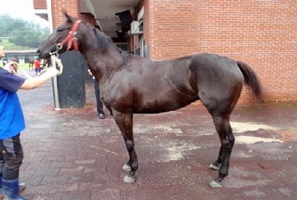 �������� ����