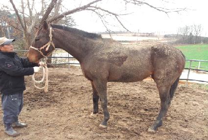 ���̽��� ����