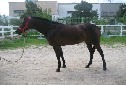 ���������� ����