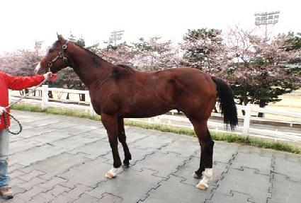 ������Ʈ ����