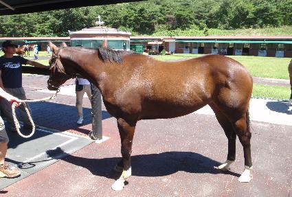 ���ؾ�Ư�� ����