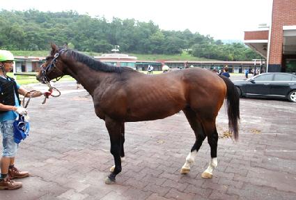 ��� ����