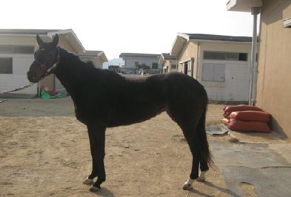 �ö��ַ��� ����