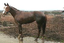 �����ϴ� (NOPEUN HANEUL) ����