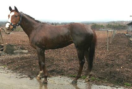 �����ϴ� ����