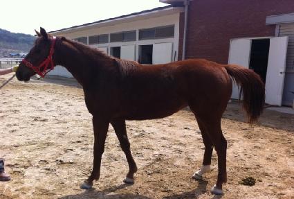 �۷ι����̵� ����