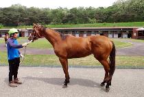 ��º� (USEUNG BOK) ����