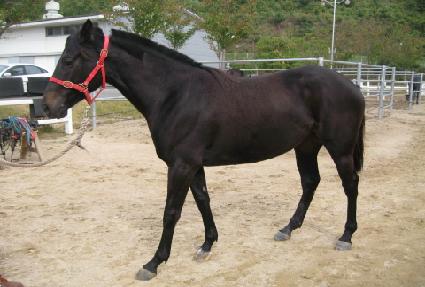 ���Ѻ� ����