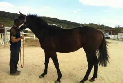 �������� ����