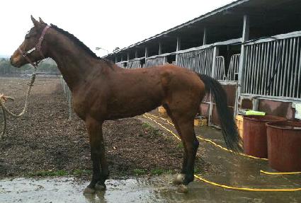 ���� ����