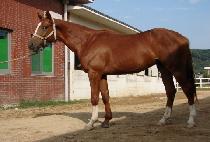 ���ɾƳ뽺 (OCEANOS) ����