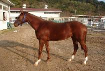 ���̴ϰ� (SHINY GIRL) ����