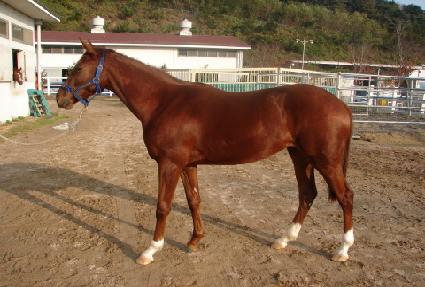 ���̴ϰ� ����