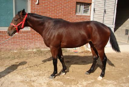 ������ ����