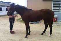 ������ġ (WINNING TOUCH) ����