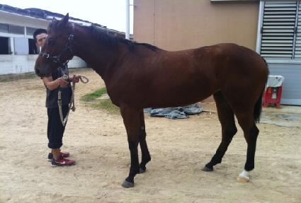 ������ġ ����