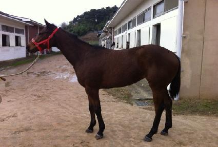 �佺Ƽ��ķ�� ����