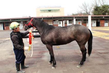 �ְ��Ǽ��� ����