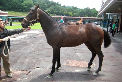 �����ǲ� ����