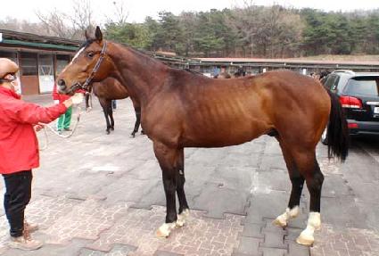 �󼼶�Ʈ ����